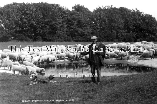 SX 5071 - Dew Pond Near Ringmer, Sussex c1910