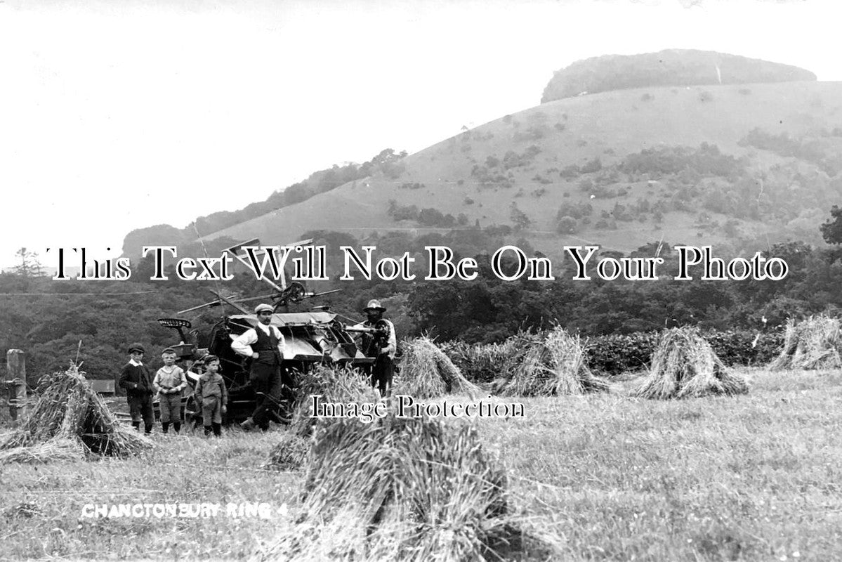 SX 5117 - Chanctonbury Ring Farming Scene, Sussex c1918