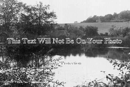 SX 5427 - Hammer Pond Cottages, Horsham, Sussex