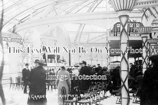 SX 5546 - Winter Garden, Palace Pier, Brighton, Sussex c1912