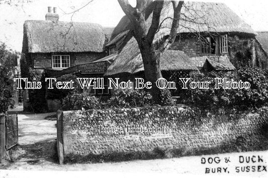 SX 644 - Dog & Duck, Bury, Sussex