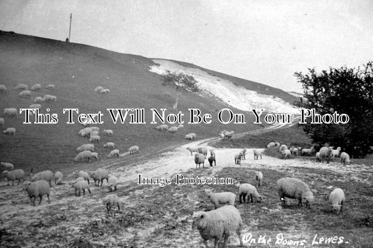 SX 661 - On the Downs, Lewes, Sussex c1910