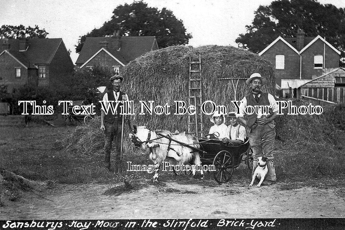 SX 80 - Sansburys Hay Mow In Slinfold Brickyard, Sussex