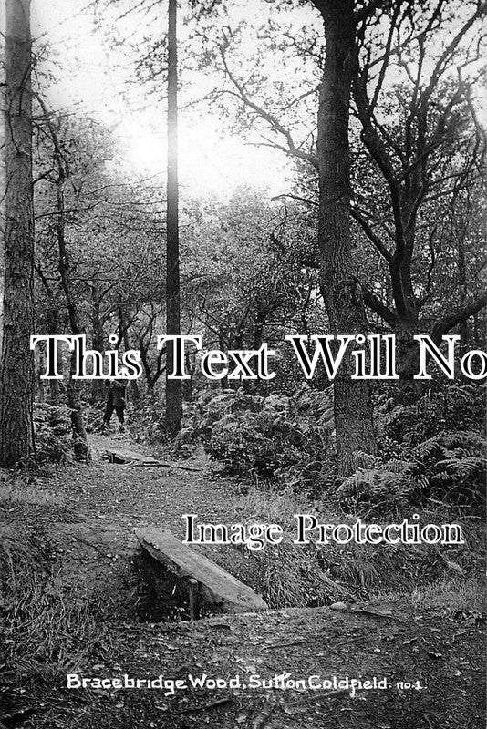 WA 136 - Bracebridge Wood, Sutton Coldfield, Warwickshire