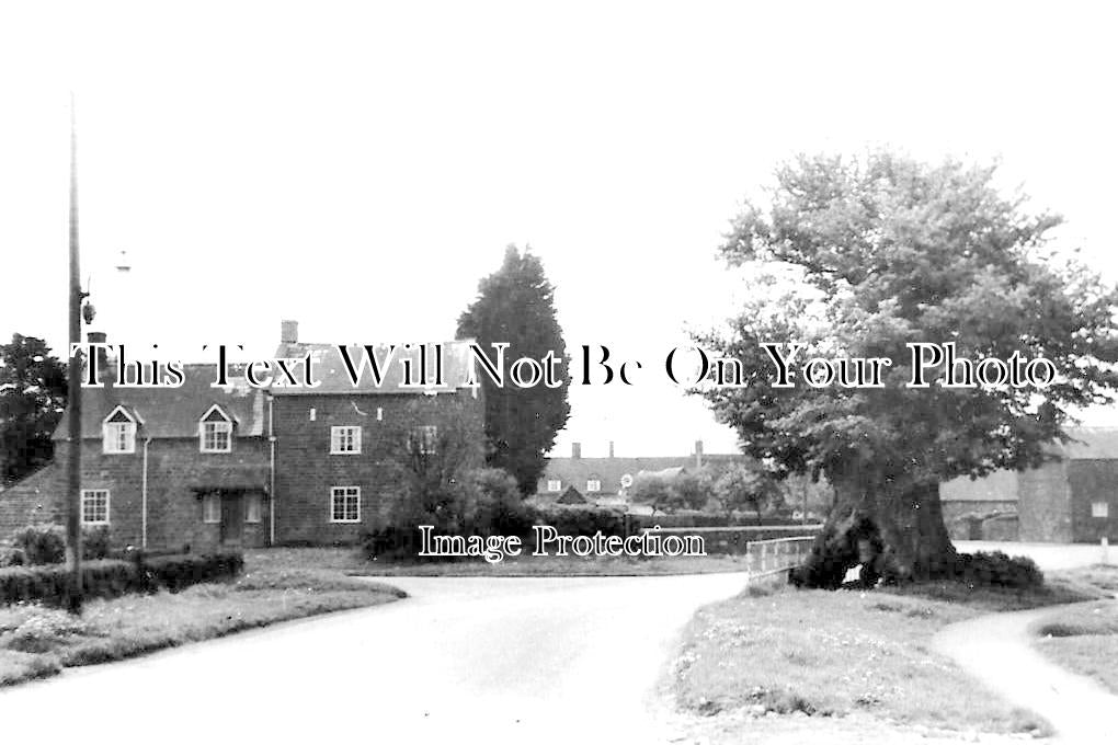 WA 1515 - The Old Tree, Upper Tysoe, Warwickshire