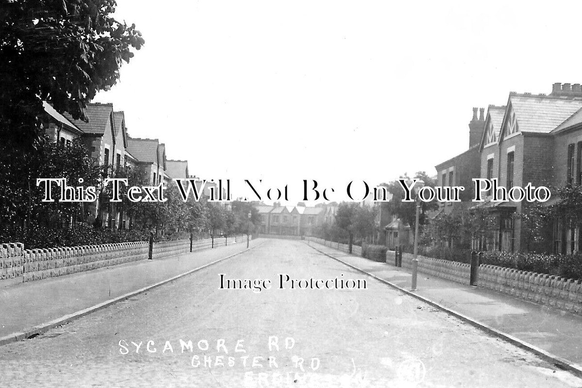 WA 1743 - Sycamore Road, Chester Road, Erdington, Warwickshire c1914