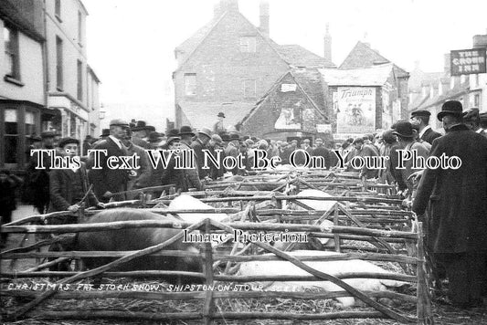 WA 1862 - Fat Stock Show, Shipston On Stour, Warwickshire