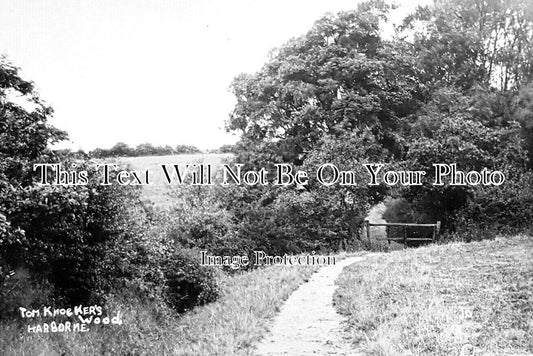 WA 2096 - Tom Knockers Wood, Harborne, Birmingham, Warwickshire