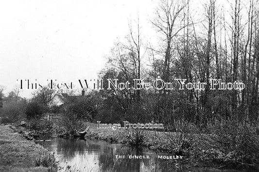 WA 2159 - The Dingle, Moseley, Birmingham, Warwickshire c1913
