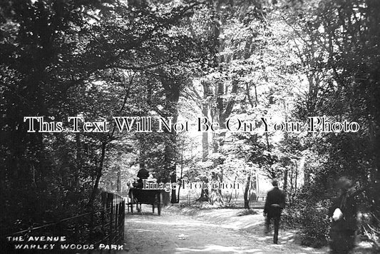 WA 2160 - The Avenue, Warley Woods Park, Birmingham c1913