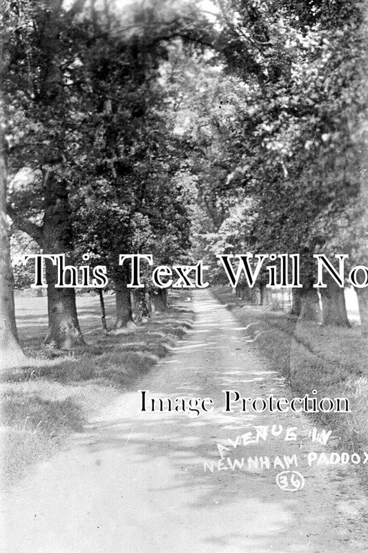 WA 2362 - Avenue In Newnham Paddox, Monks Kirby, Warwickshire