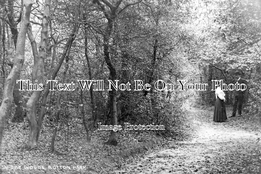 WA 2417 - In The Woods, Sutton Park, Warwickshire