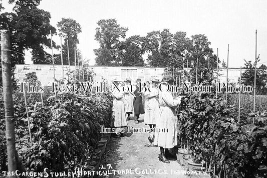 WA 2546 - The Gardens, Studley Horticultural College, Warwickshire