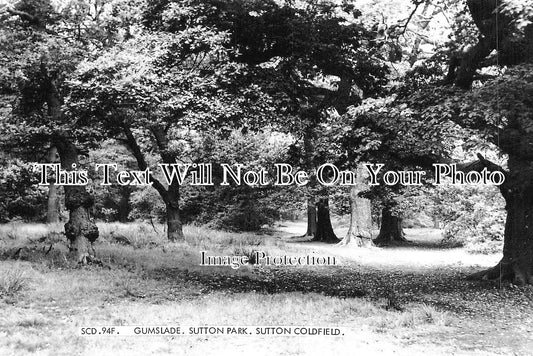 WA 934 - Gumslade, Sutton Park, Sutton Coldfield, Warwickshire