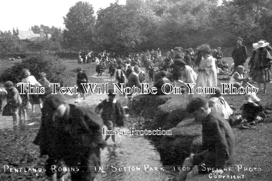 WA 986 - Sutton Park Pentland Robins, Sutton Coldfield, Warwickshire 1906