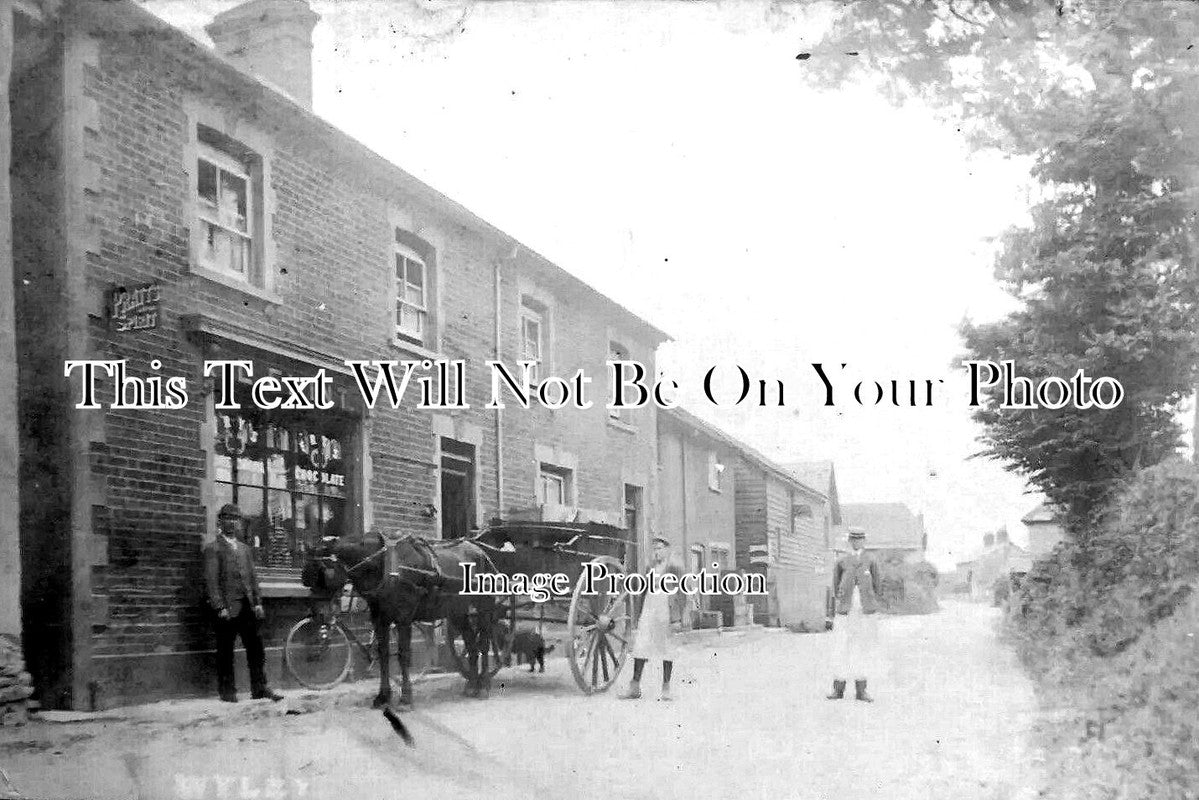 WI 1181 - Shrewton Wylye, Wiltshire c1907