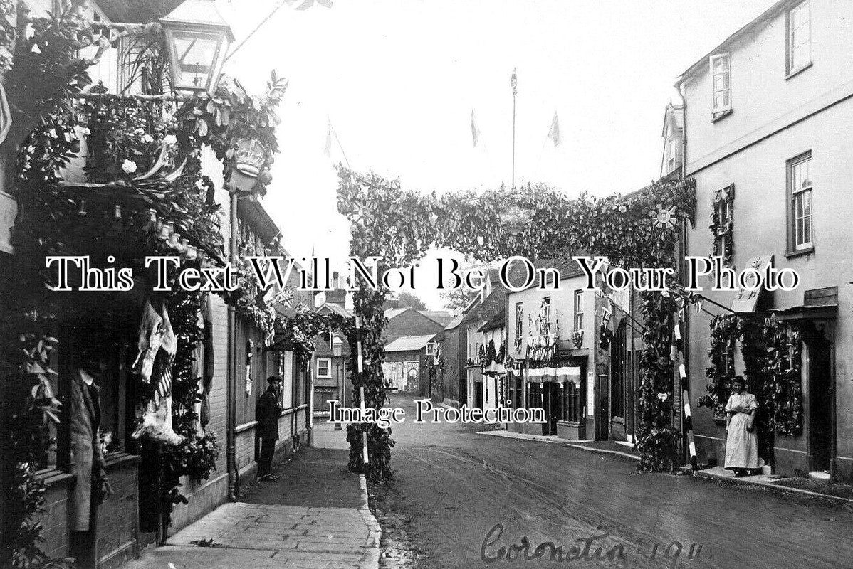 WI 1219 - Coronation Celebrations, Salisbury, Wiltshire 1911