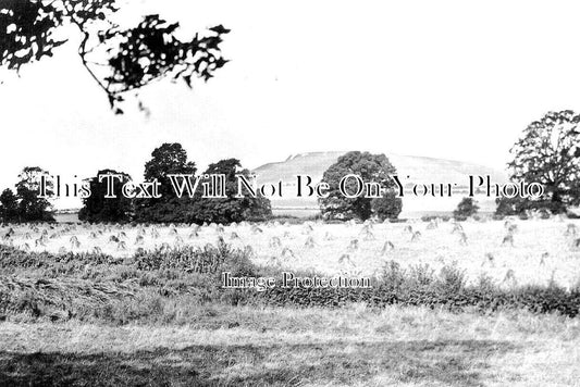 WI 1264 - Cley Hill, Warminster, Wiltshire