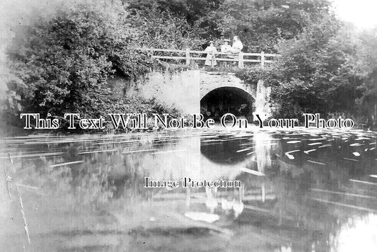 WI 1288 - Corsham Wyvern, Wiltshire c1907