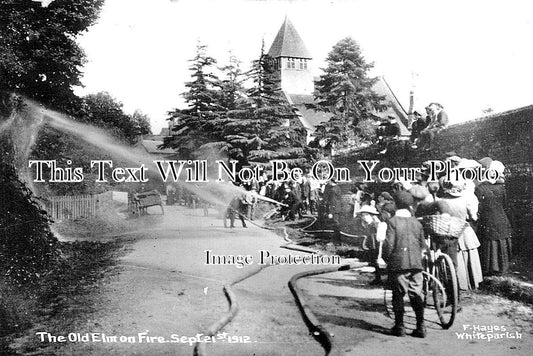 WI 1292 - The Old Elm On Fire, Whiteparish, Wiltshire 1912
