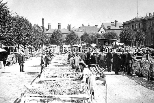 WI 1320 - Livestock Market, Salisbury, Wiltshire c1905