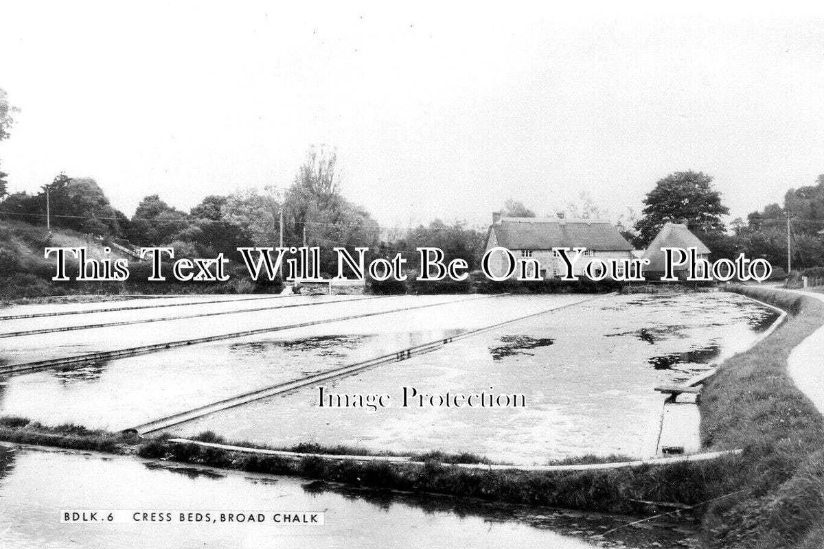WI 1446 - Water Cress Beds, Broad Chalk, Wiltshire