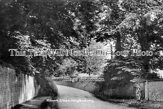 WI 1555 - Knook Steps, Heytesbury, Wiltshire c1915