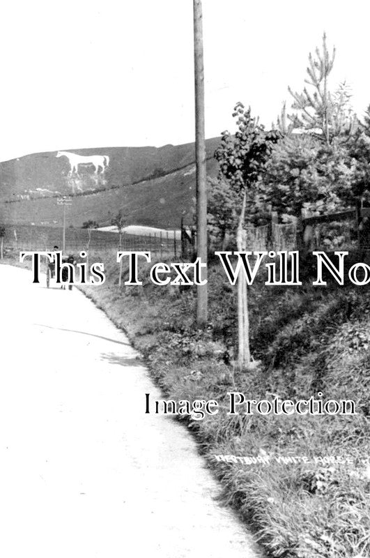 WI 1585 - Westbury White Horse, Wiltshire