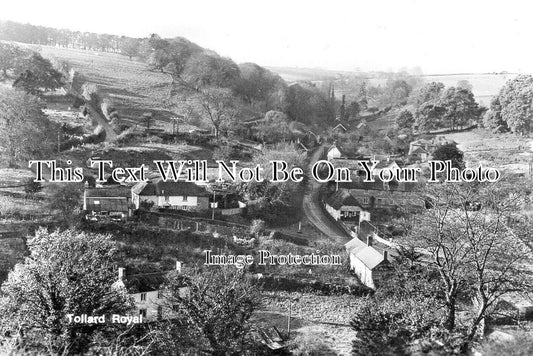 WI 1639 - Tollard Royal Near Shaftesbury, Wiltshire