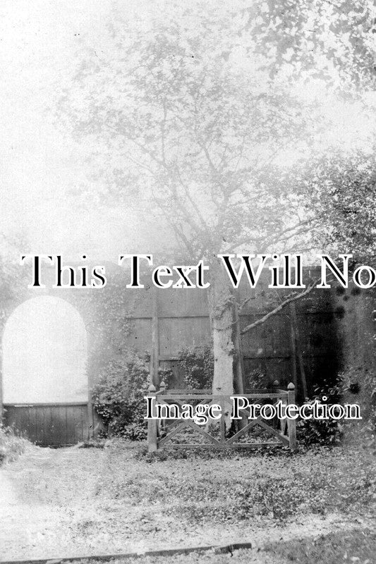 WI 1692 - Larmer Park Near Tollard Royal, Wiltshire c1905