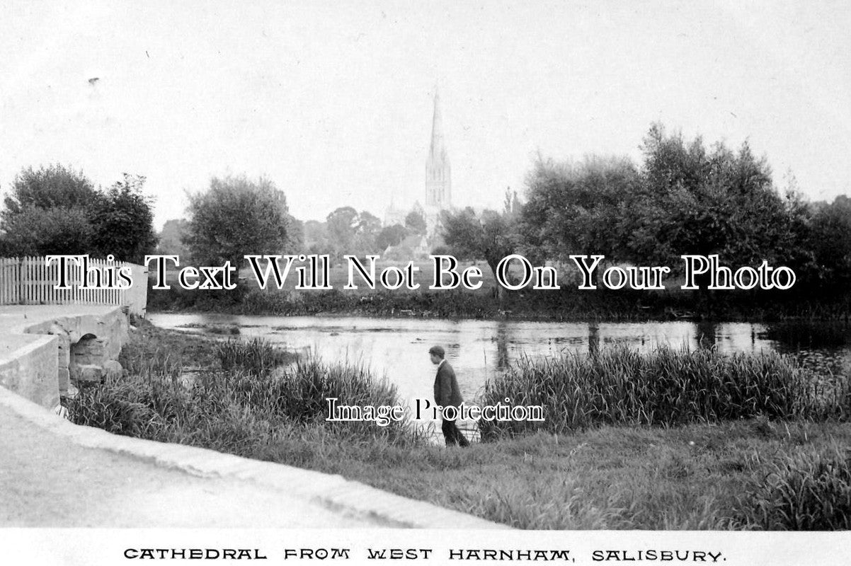 WI 356 - Cathedral From West Harnham, Salisbury, Wiltshire c1906