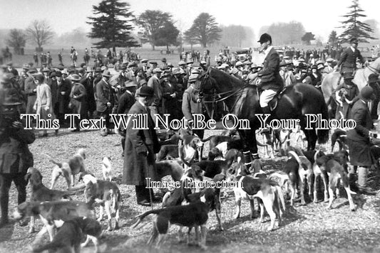 WI 502 - Duke Of Beauforts Foxhounds, Saversnake Forest, Marlborough, Wiltshire