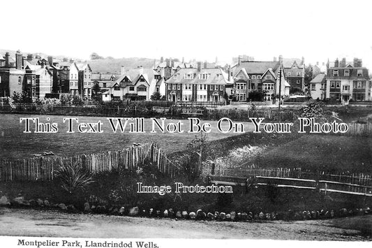 WL 1004 - Montpelier Park, Llandrindod Wells, Wales c1917