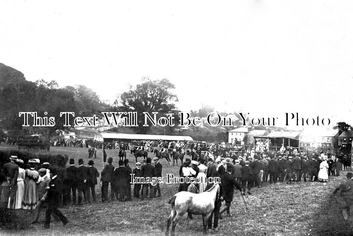 WL 1005 - South Wales Horse Race Meeting, Wales