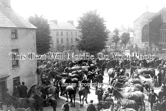 WL 1230 - Horse Fair, Carmarthen, Wales