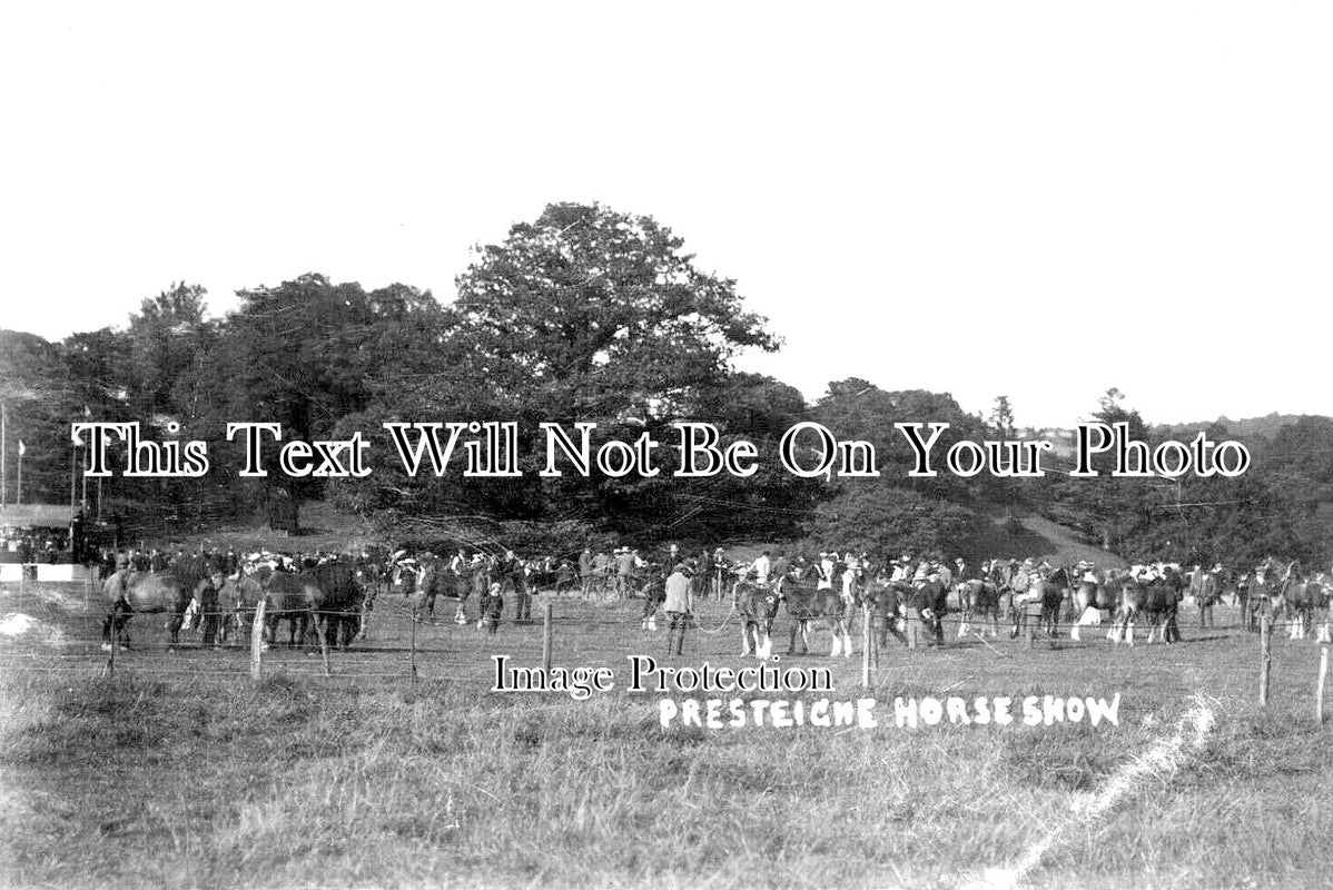WL 1259 - Presteigne Horse Show, Wales