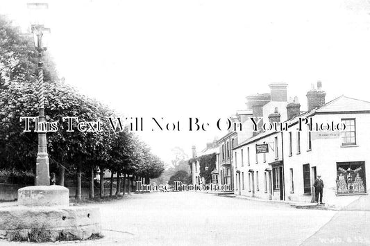 WL 1351 - Raglan, Monmouthshire, Wales