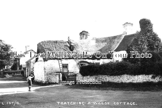 WL 1405 - Thatching A Welsh Cottage, Llanelian, Wales