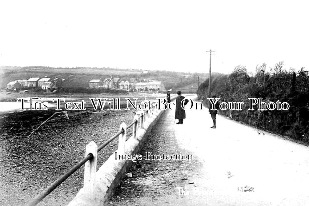 WL 1494 - The Promenade, Neyland, Pembrokeshire, Wales c1912