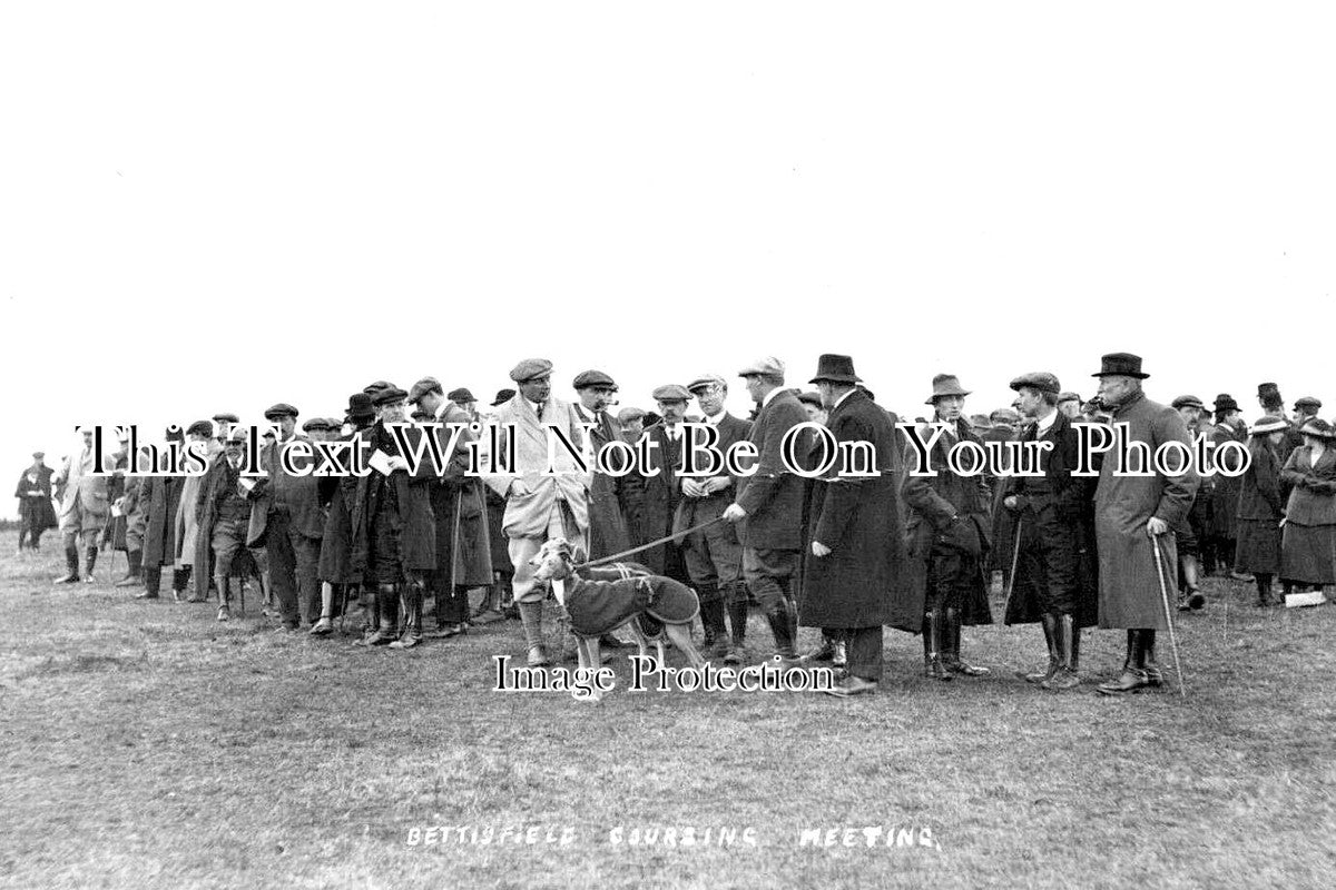 WL 1561 - Bettisfield Coursing Meeting, Wales