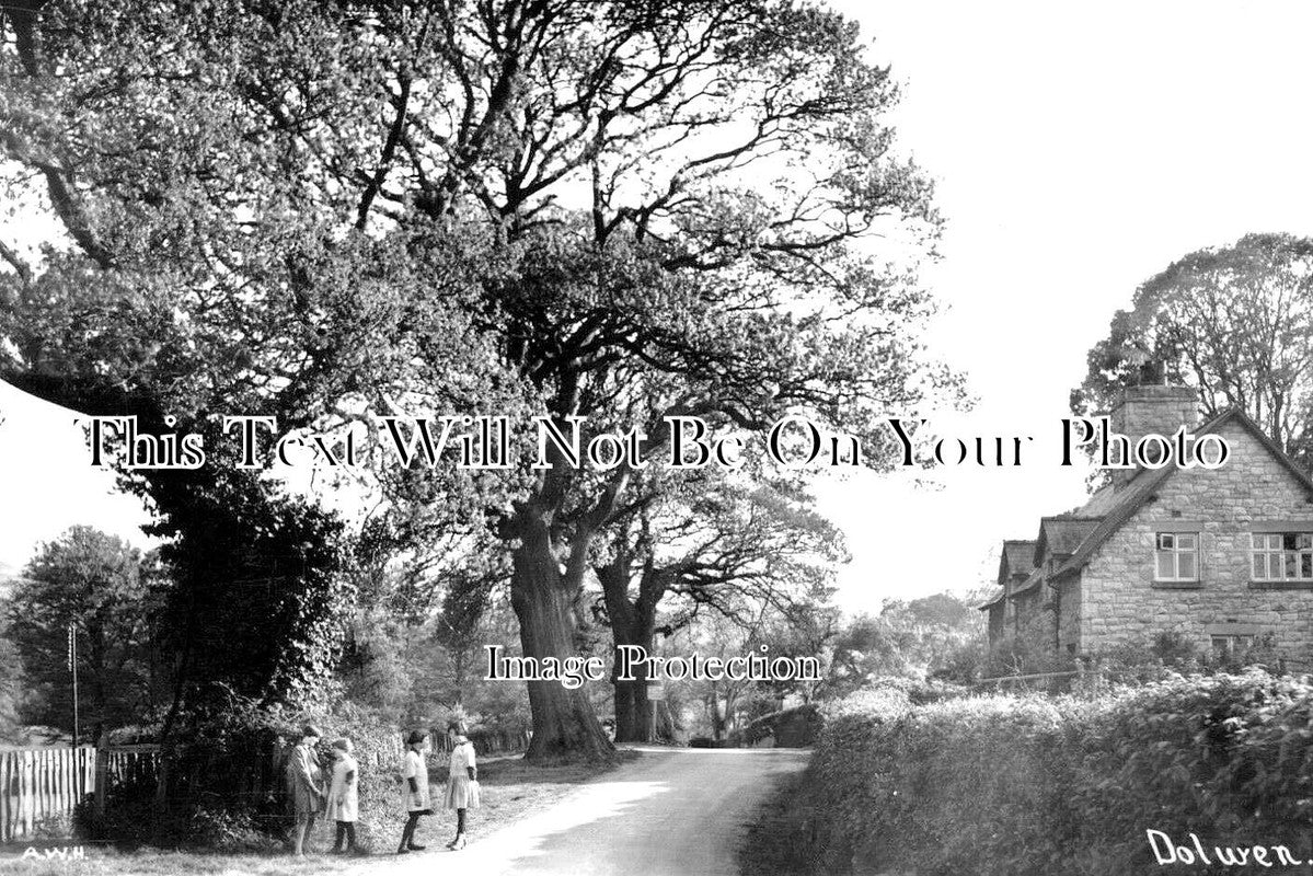 WL 1578 - Dolwen, Wales