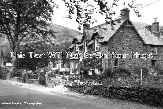 WL 1607 - Woodlands, Tremadoc, Wales