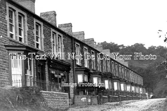 WL 1699 - Woodland Terrace, Crymlyn Burrows, Wales c1911