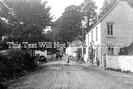 WL 1732 - Laugharne, Carmarthenshire, Wales