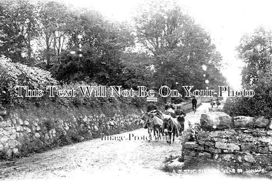 WL 1767 - Ferryside, Wales