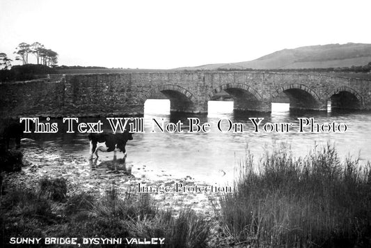 WL 1948 - Sunny Bridge, Dysynni Valley, Tywyn, Wales