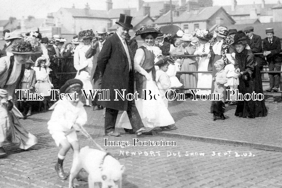 WL 2137 - Newport Dog Show, Wales 1909