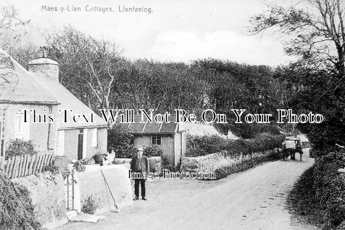 WL 2147 - Maes Y Llan Cottages, Llanfaelog, Wales