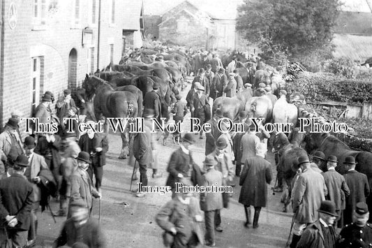 WL 2243 - New Radnor Horse Fair, Radnorshire, Wales c1909