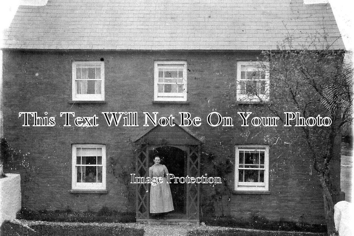 WL 2247 - Kidwelly Coed Bach, Wales c1905